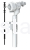 zn4.png